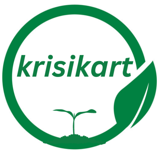 krisikart logo