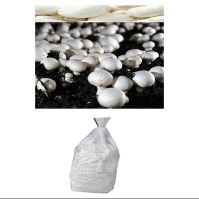 Plastic bags rice straw for mushroom cultivation\farming price 1kg,5kg,10kg near ,use