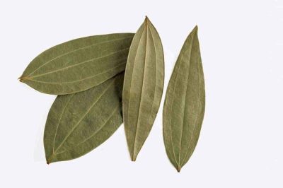there's one unsung hero that often goes unnoticed amidst the spices and herbs – the humble Bay Leaf, also known as Tej Patta in Indian cuisine.