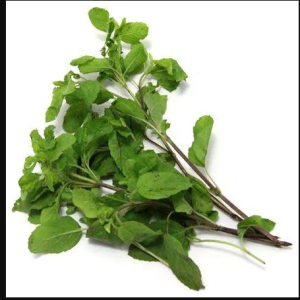 Accessing the healing properties of Tulsi leaves has never been easier, thanks to online platforms offering both fresh green leaves and dried variants of this revered herb.