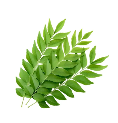 Curry leaves, also known as "kadi patta" in Indian cuisine, are a must-have for any kitchen looking to infuse authentic flavor into dishes.
