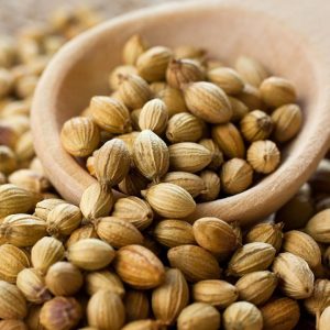 Coriander Seeds (Dhania), distinguished by their plump, brown appearance and hollow cavity bearing essential oils,