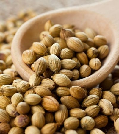 Coriander Seeds (Dhania), distinguished by their plump, brown appearance and hollow cavity bearing essential oils,