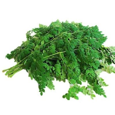 Fresh Organic Moringa Leaves