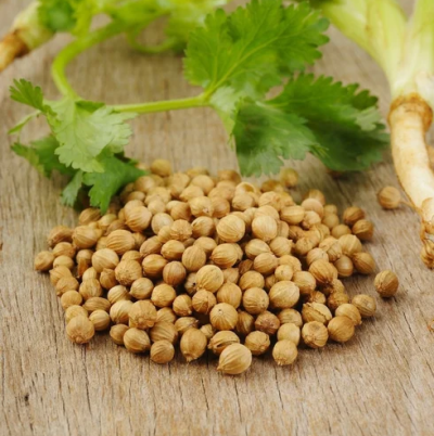 Coriander Seeds (Dhania)