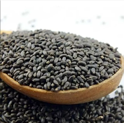 Fram Fresh Basil Seeds (Sabja) chemical free – First Delivery - Image 2