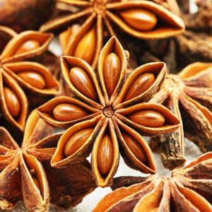 Fram Fresh Star Anise (Chakra Phool ) Chemical free – First Delivery