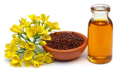 Discover nature's wellness secret with 100% Pure and Unrefined Homemade Coldpress Mustard Oil