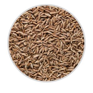 Cumin Seeds  commonly known as jeera, are a fundamental spice in Indian cuisine,