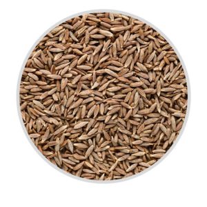 Cumin Seeds  commonly known as jeera, are a fundamental spice in Indian cuisine,