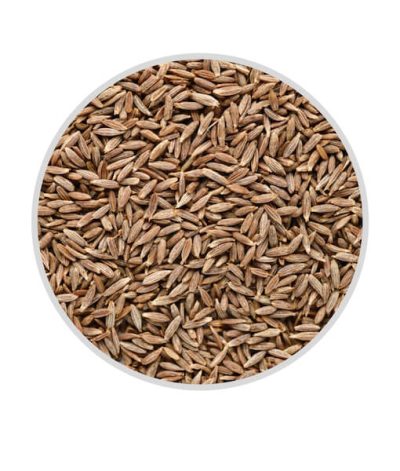 Cumin Seeds  commonly known as jeera, are a fundamental spice in Indian cuisine,