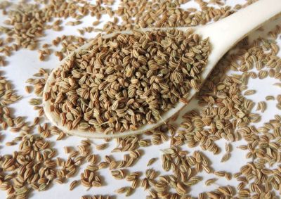 Carom seeds, also referred to as ajwain seeds, are renowned in Indian culinary traditions
