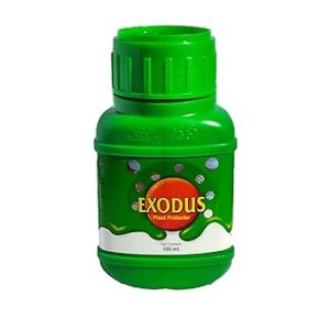Pasura Exodus contains both micro- and macro-nutrients in their readily available form for the plant to uptake and use