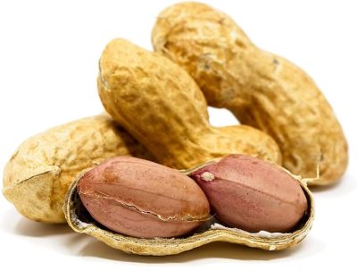 Peanuts, which grow underground, are encased in a thin, papery shell or pod.