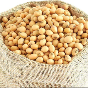 Fram Fresh Soybean Nuts Chemical free – First Delivery