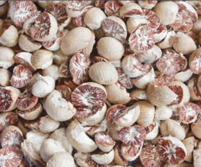 Betel nut has been valued for its ability to promote digestion and stimulate appetite