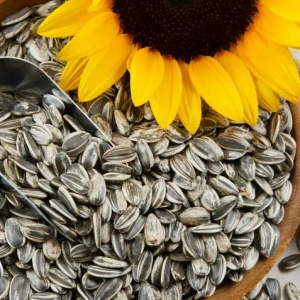 Sunflower seeds are a nutritional powerhouse packed with healthy fats, vitamins, minerals, and beneficial plant compounds.