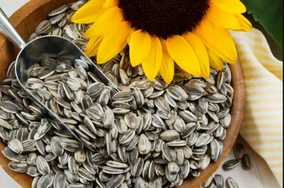 Sunflower seeds are a nutritional powerhouse packed with healthy fats, vitamins, minerals, and beneficial plant compounds.