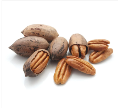 Pecans Nut , with their intricate structure, crunchy texture, and buttery flavor, are a delightful addition to a variety of dishes.
