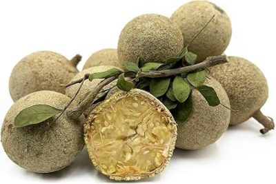 Farm fresh Wood Apple, also known as Kaitha or Kothbeal fruit, is a powerhouse of health benefits, making it a seasonal superstar.