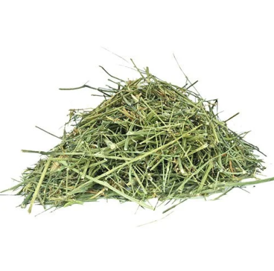 Dried Chirata /Organic Chirayta live plant /Kalmegh/Green Chiretta  Chiretta Bitter Stick