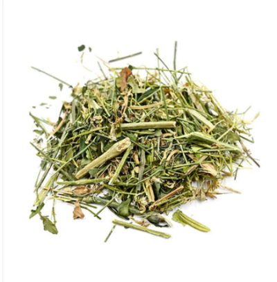Dried Chirata /Organic Chirayta live plant /Kalmegh/Green Chiretta  Chiretta Bitter Stick - Image 4