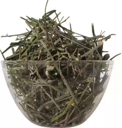 Dried Chirata /Organic Chirayta live plant /Kalmegh/Green Chiretta  Chiretta Bitter Stick - Image 2