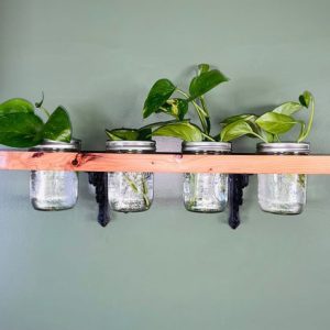 Plant Propagation Wall Shelf with Mason Jars, Garden Shelf, Starter Herb Shelf, Propagation Station, Functional Shelving