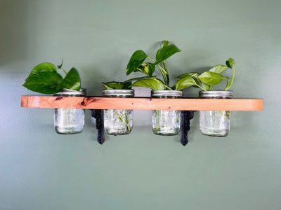 Plant Propagation Wall Shelf with Mason Jars, Garden Shelf, Starter Herb Shelf, Propagation Station, Functional Shelving