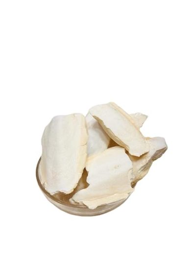Samandar Jhag - Sea Foam - Samunder Jhag - Samunder Fan - Samundar Jhaag Seed - Image 2