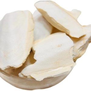 Samandar Jhag - Sea Foam - Samunder Jhag - Samunder Fan - Samundar Jhaag Seed