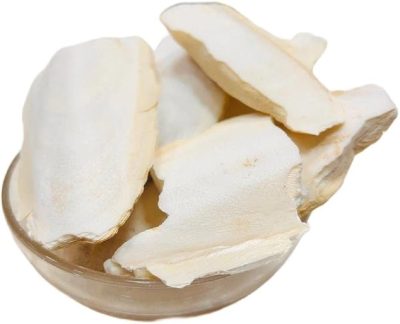 Samandar Jhag - Sea Foam - Samunder Jhag - Samunder Fan - Samundar Jhaag Seed