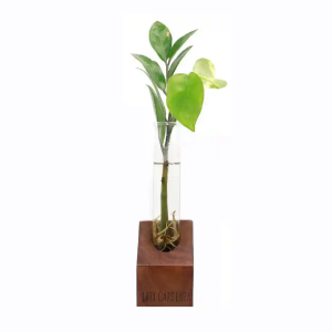 Glass Groove Solo Plant Propagation Station