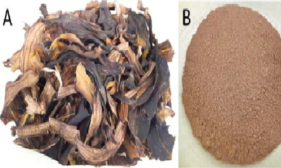 Dry Banana Peel Powder for Fertilize Nature Plants and Gardening