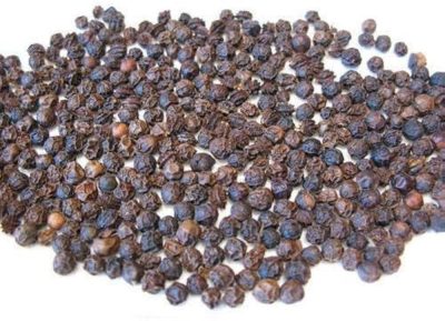Red Papaya seed For Planting (1-1.5 Kg Papaya)