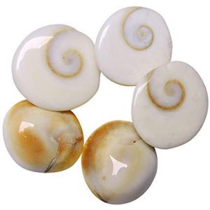 Natural Gomati Chakra