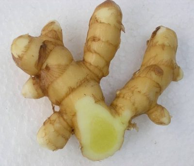 Organic Fresh Mango Ginger /Amba haldi (আমের আদা - Curcuma amada Roxb.)  Online First Delivery - Image 2
