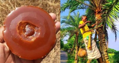 Farmfreh palm jaggery / Khajur Patali Gur - Image 4