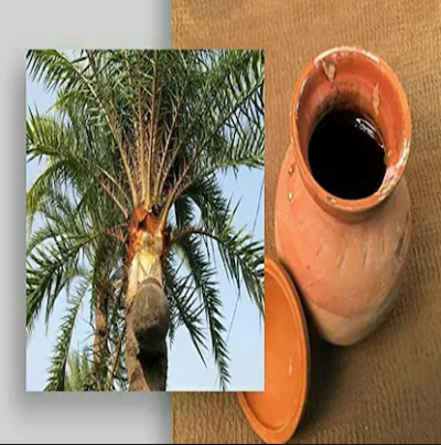 Farmfreh palm jaggery / Khajur Patali Gur - Image 2