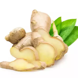 Organic Fresh Mango Ginger /Amba haldi (আমের আদা - Curcuma amada Roxb.)  Online First Delivery
