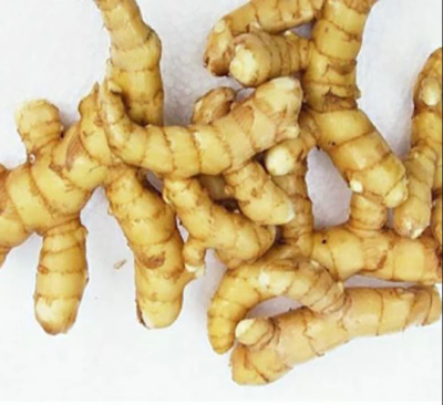 Organic Fresh Mango Ginger /Amba haldi (আমের আদা - Curcuma amada Roxb.)  Online First Delivery - Image 4