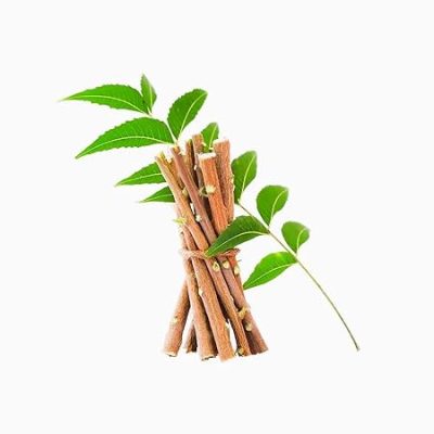 Fresh NEEM DATUN/Toothbrush / ORAL HERBAL TEETH Chewing Sticks- 50Pis - Image 4