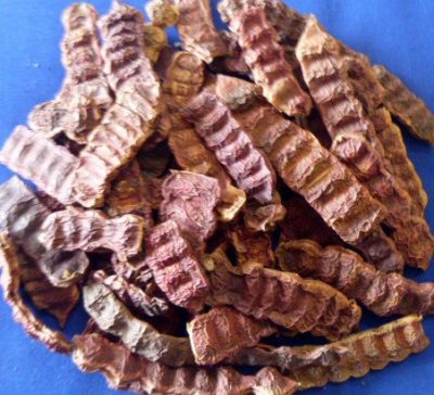 Organic Shikakai, Acacia Concinna