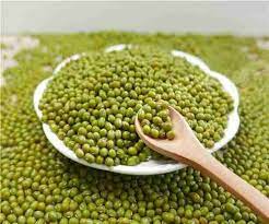 Organic Fresh Green Gram Whole / Mung Beans (Field to Plate)